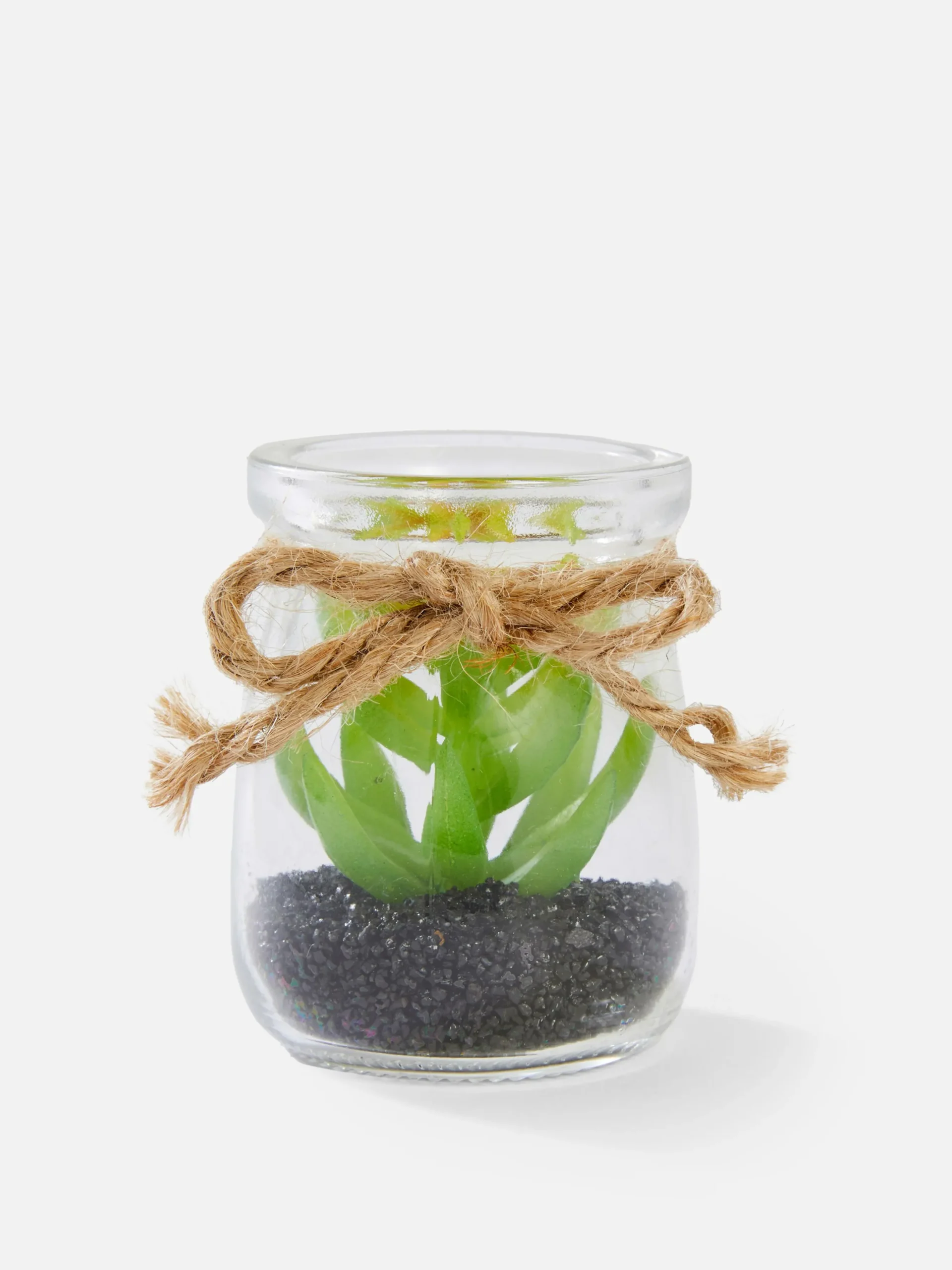 Kleine Glasvase Mit Sukkulentenimitat