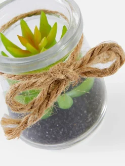 Kleine Glasvase Mit Sukkulentenimitat