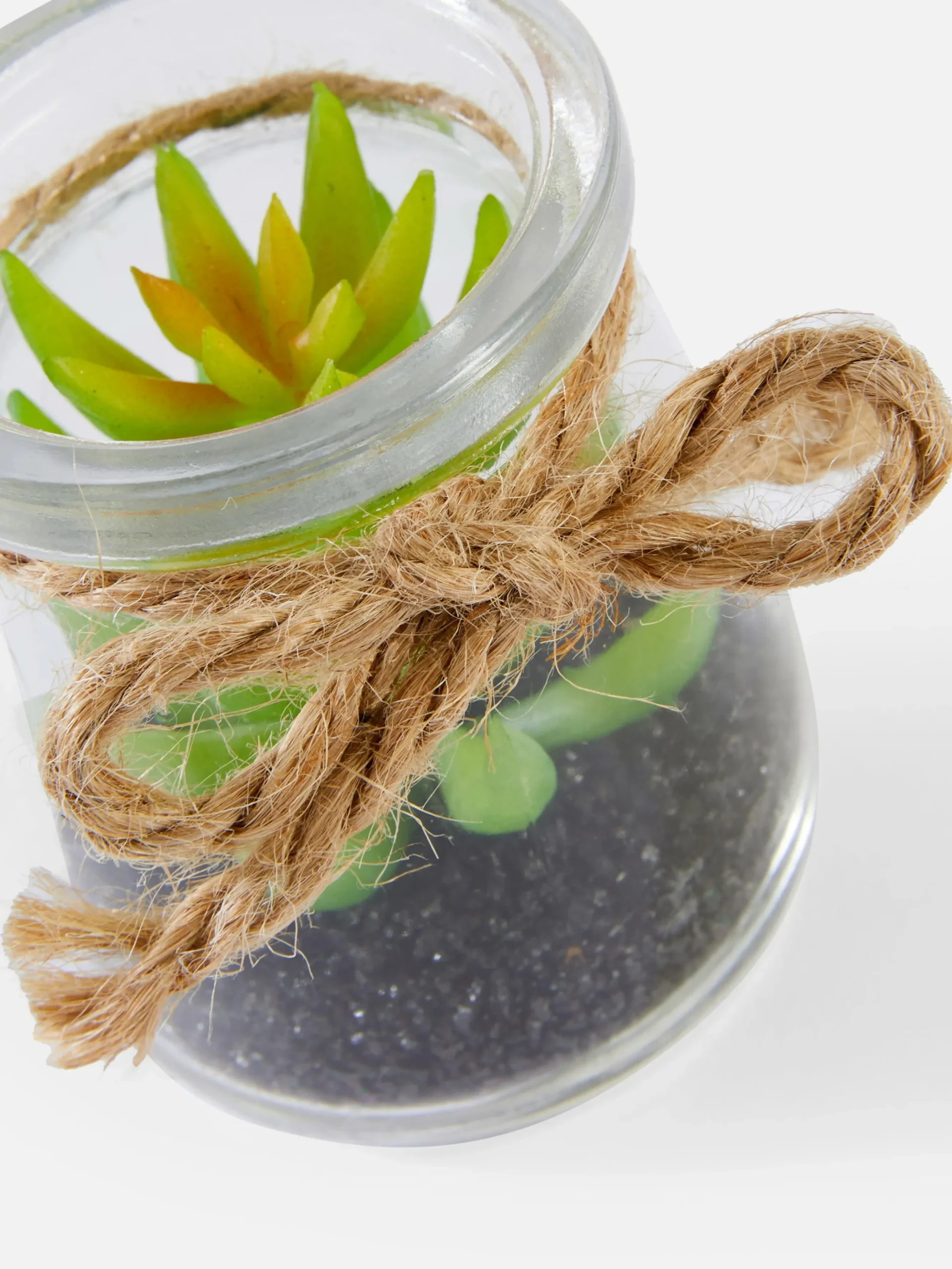 Kleine Glasvase Mit Sukkulentenimitat