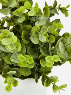 Kleine Künstliche Eukalyptuspflanze