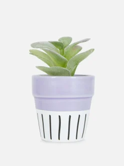 Künstliche Sukkulente In Buntem Topf