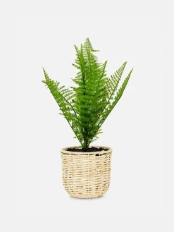 Kunstfarn In Geflochtenem Korb