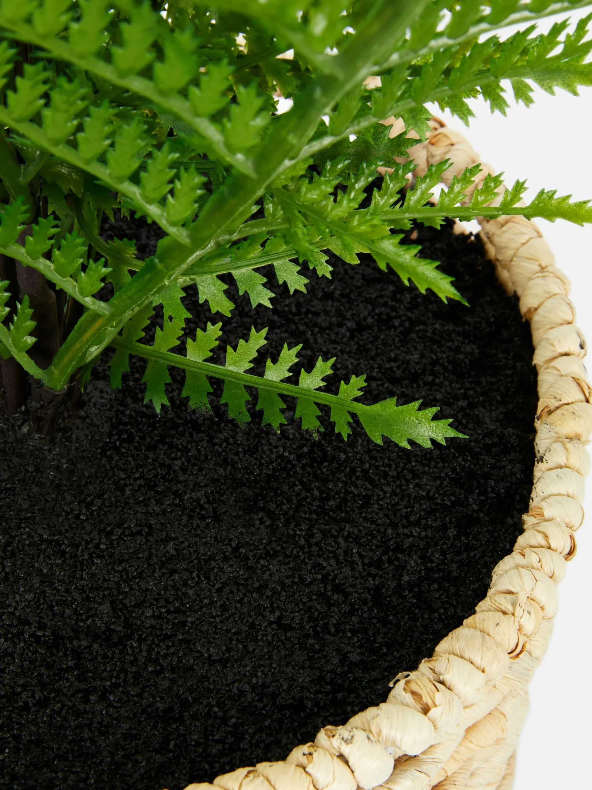 Kunstfarn In Geflochtenem Korb