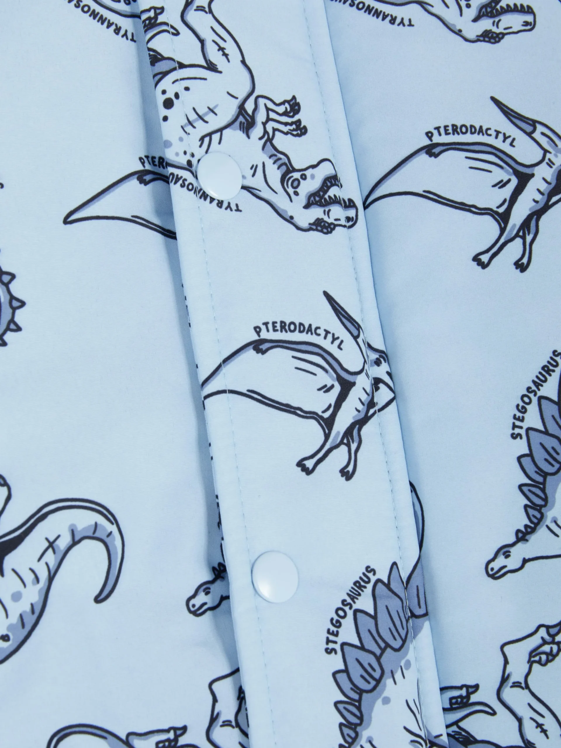 Regenjacke Mit Dinosaurier-Motiv