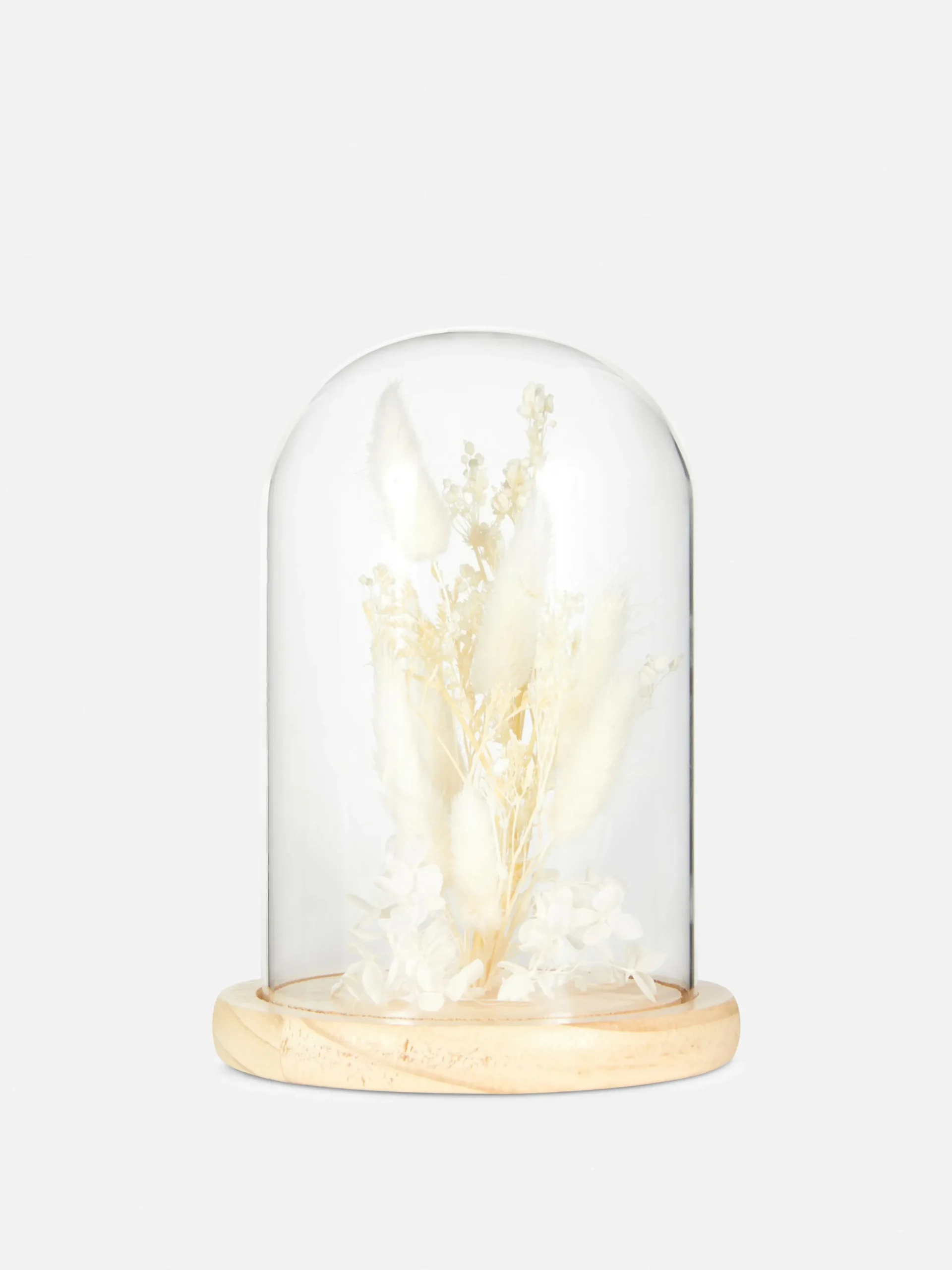 Terrarium Mit Trockenblumen