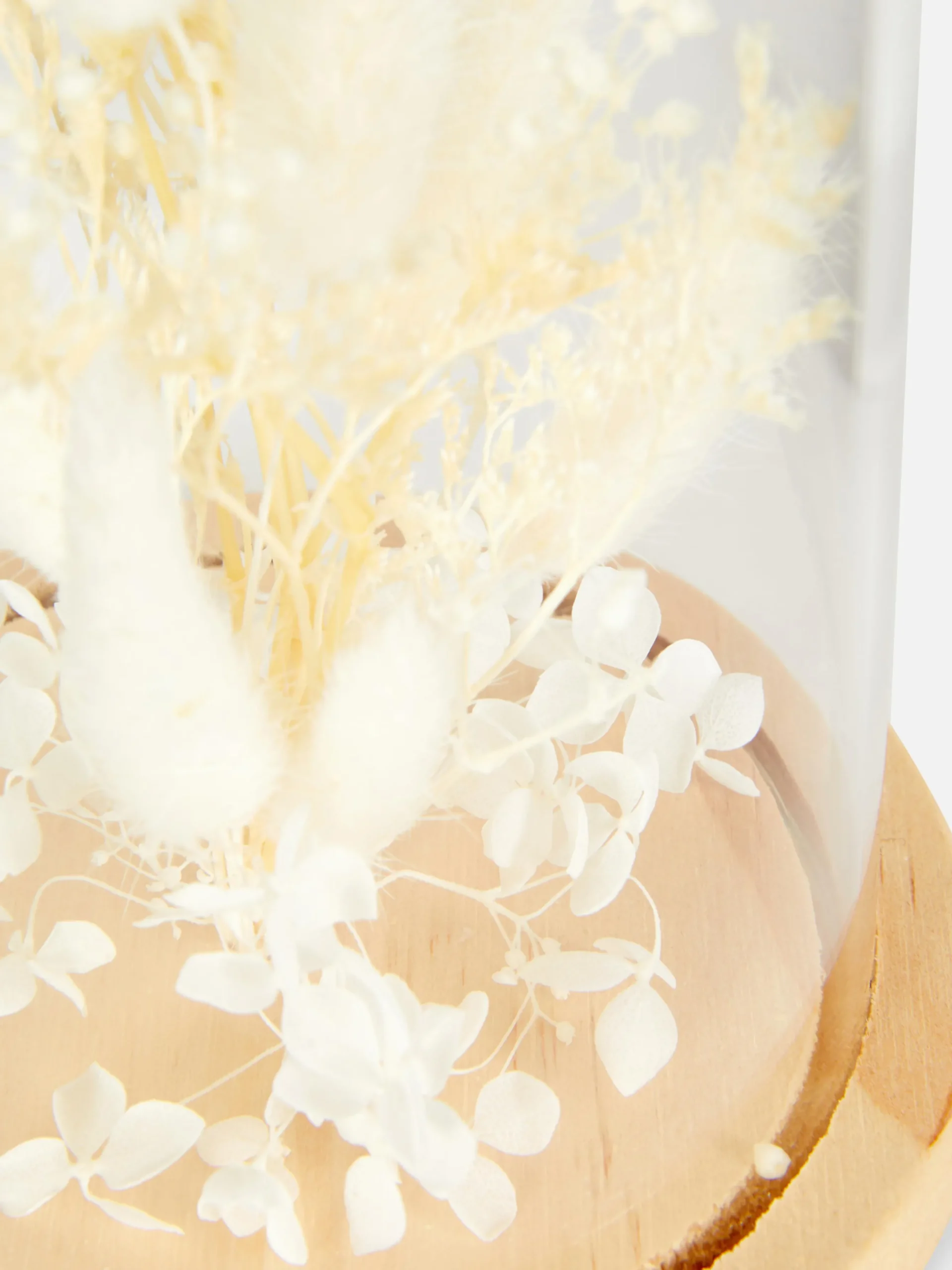 Terrarium Mit Trockenblumen